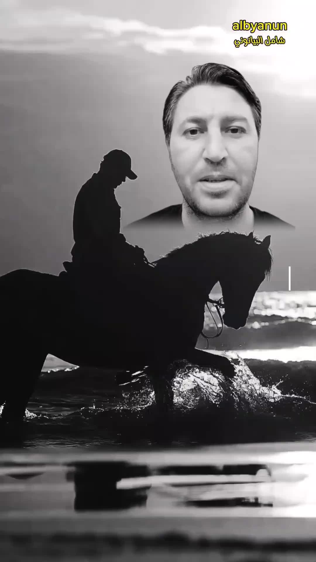 @شامل البيانوني
