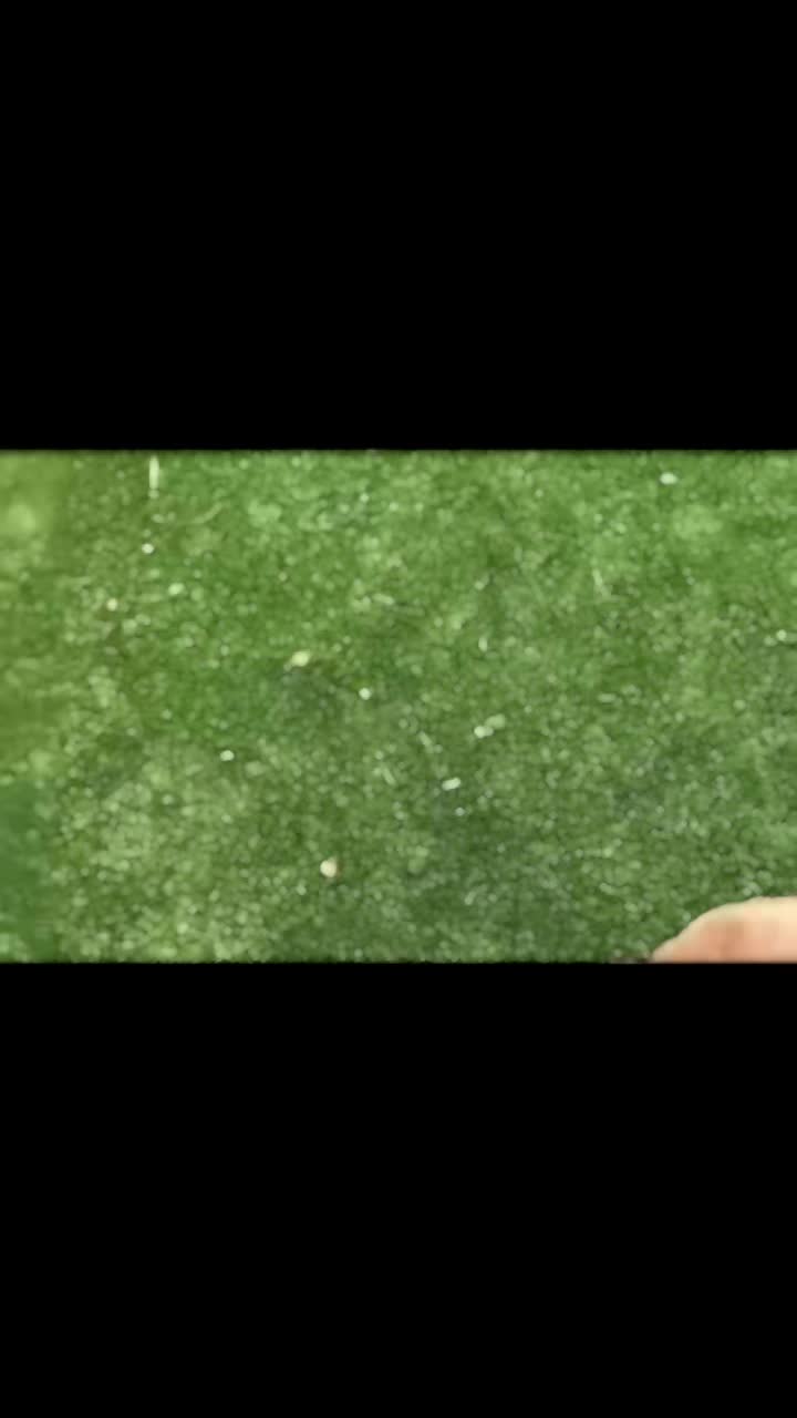 @Lisaalovee143
