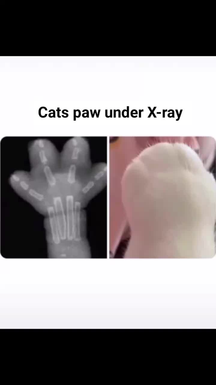 @user87357065893