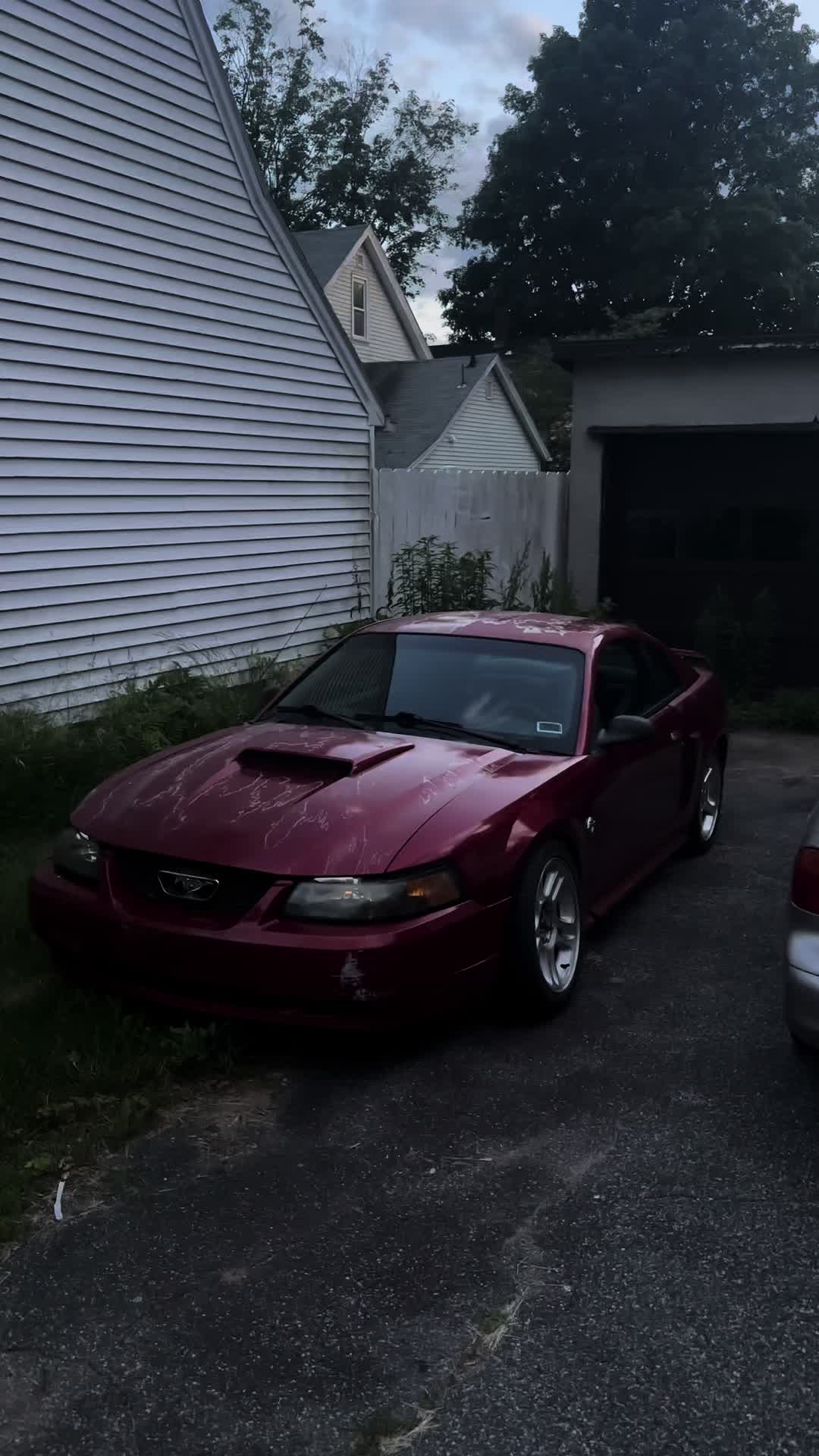 @fritsch_24v