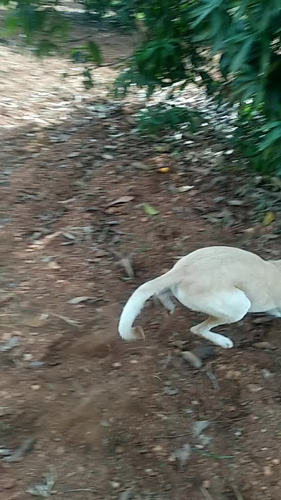 @தமிழ்💘