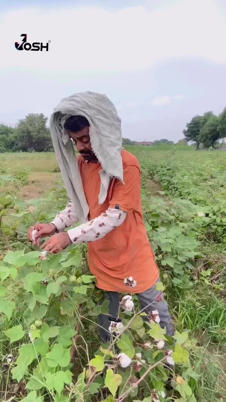 @Naresh. P.
