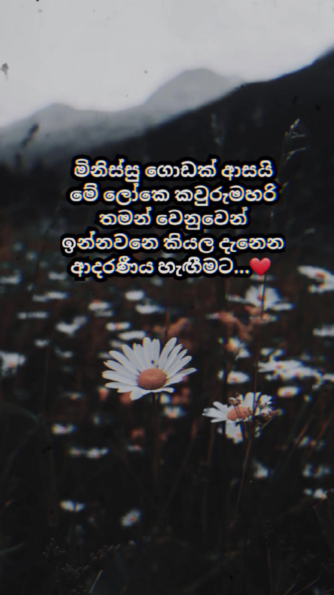 @Mashi