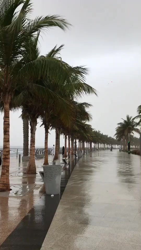 @سوير 🦋.