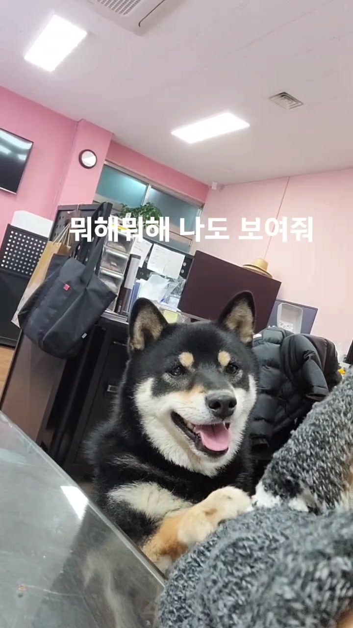 @연탄똘이