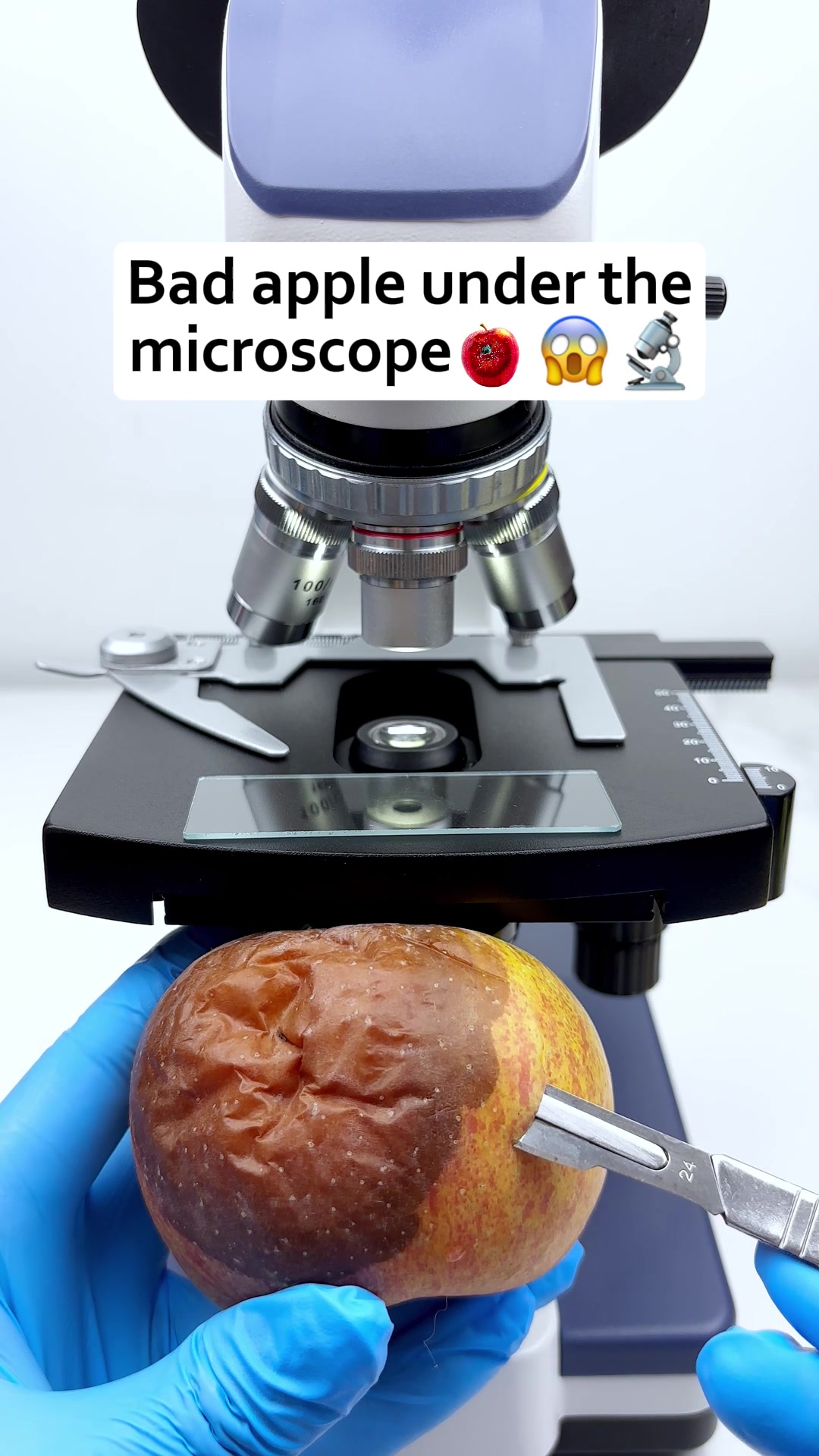 @MicroMagic6