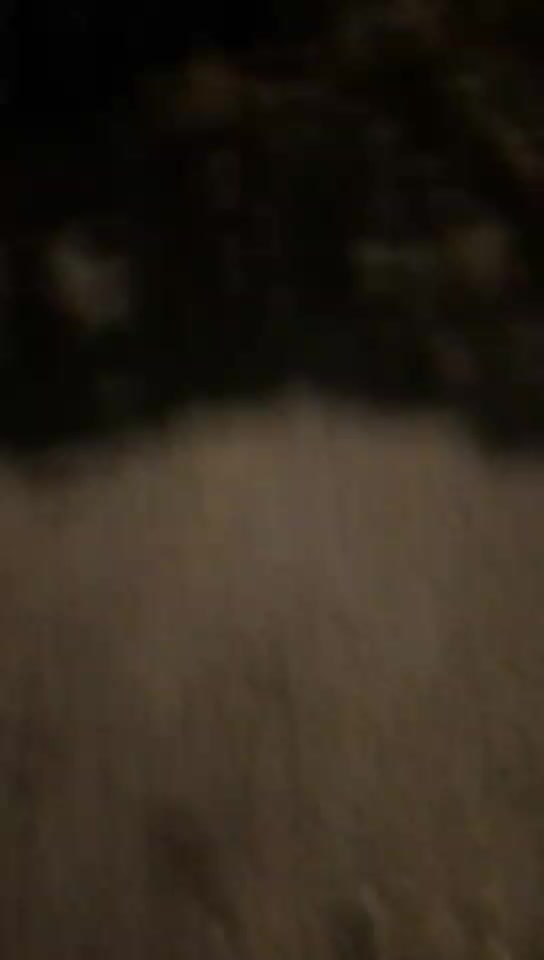 @arseniilaifhac