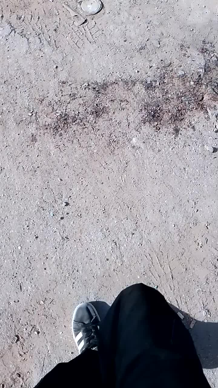 @user231384778767