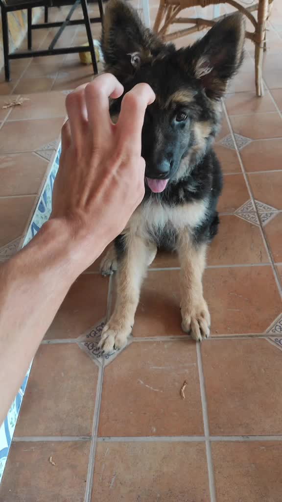 @Garc&iacute;a_94