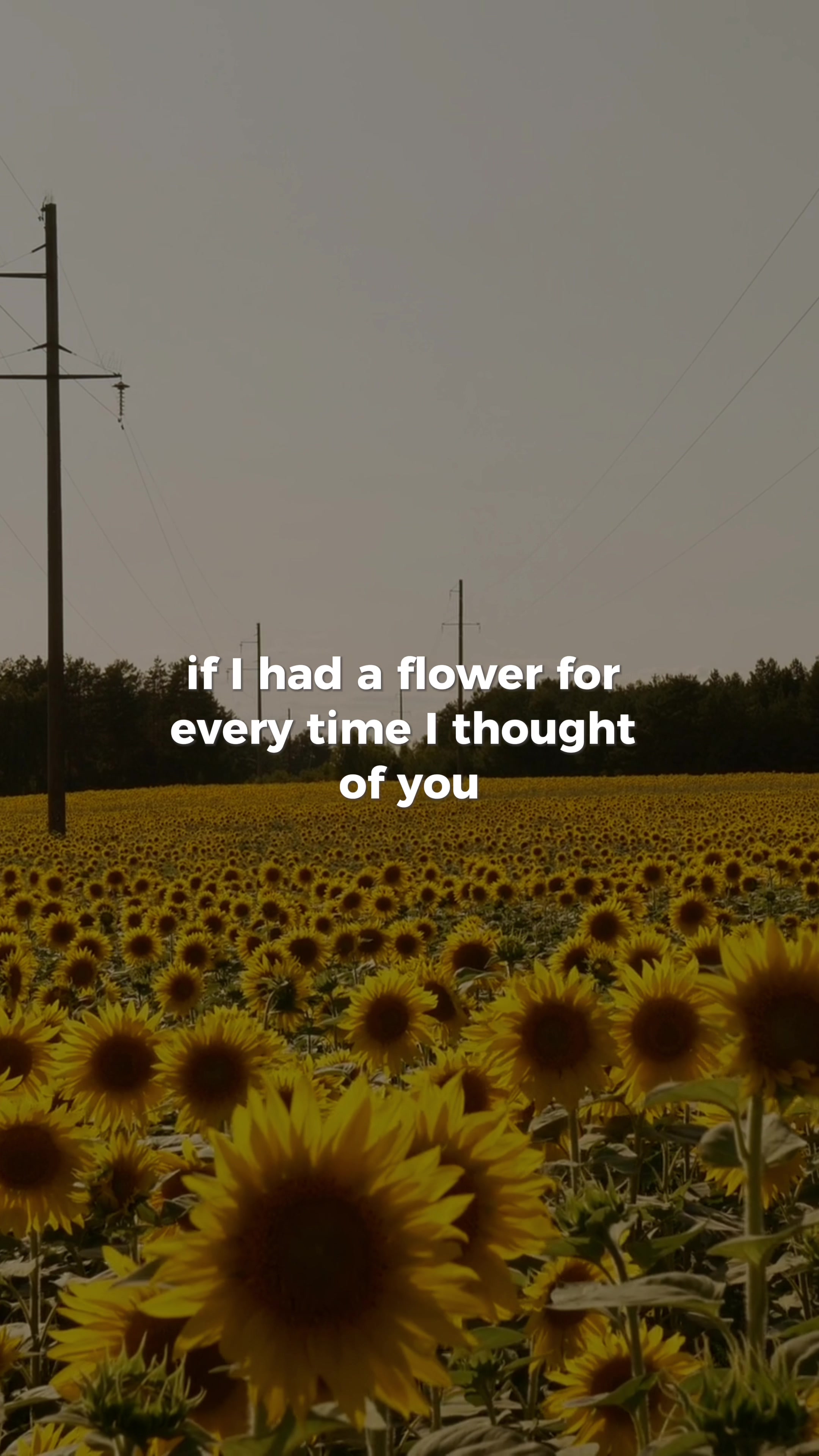 @Health Motivation 365