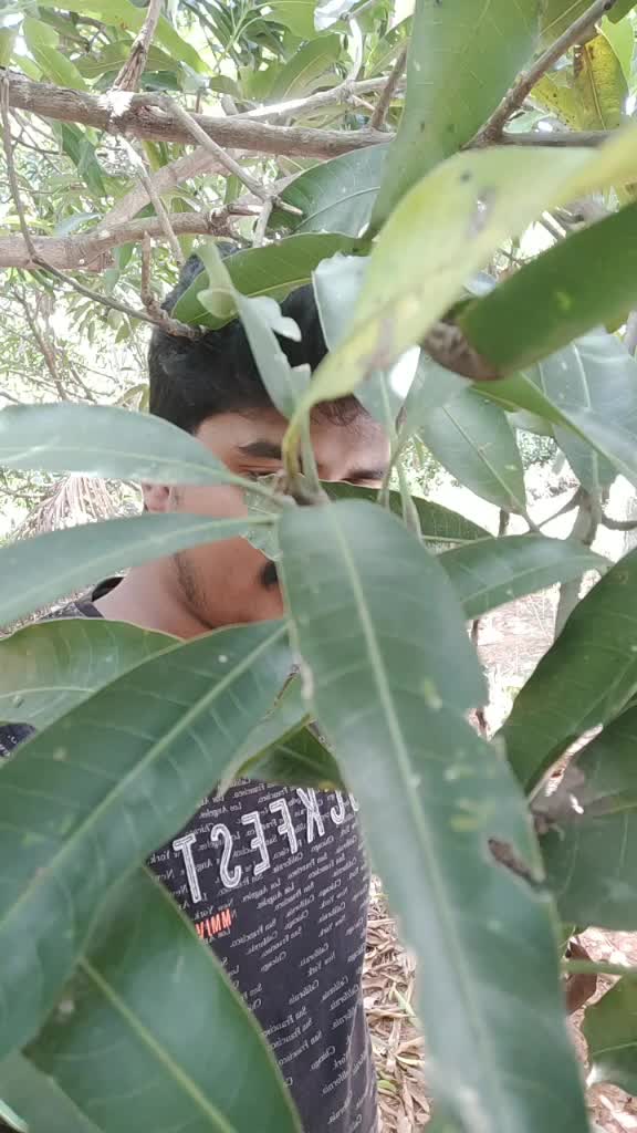 @Sundar