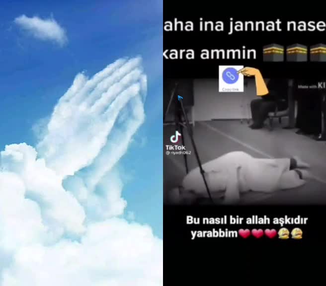 @Mohammad,Rana..A..K