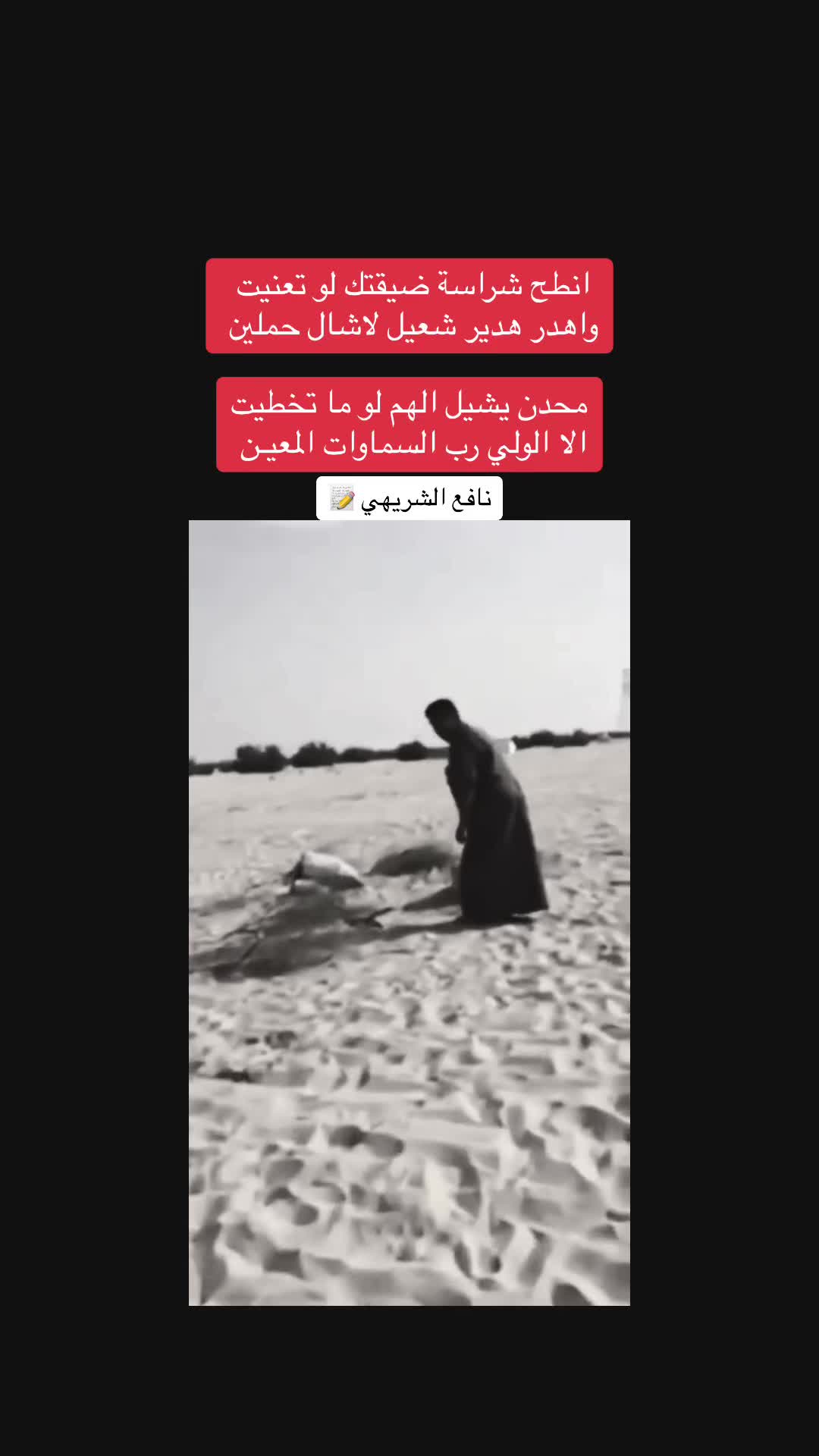 @نافع الشريهي K100