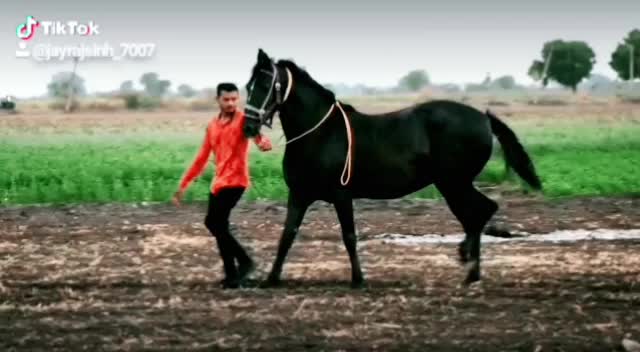 @jayrajsinh_7007