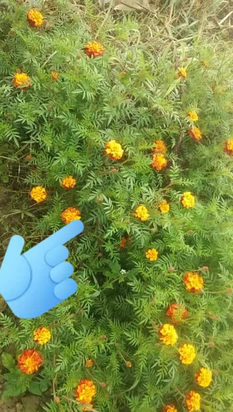 @Rishantpatel1234