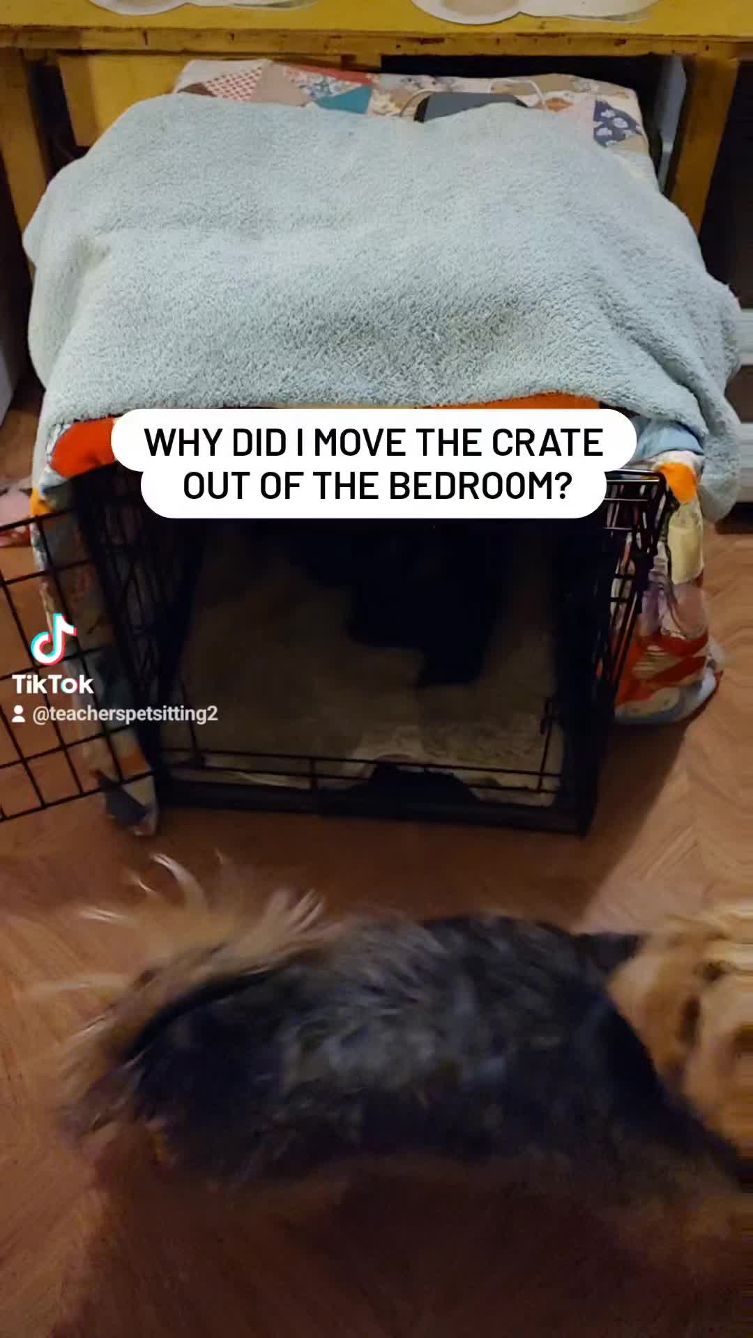 @TeachersPetSitting