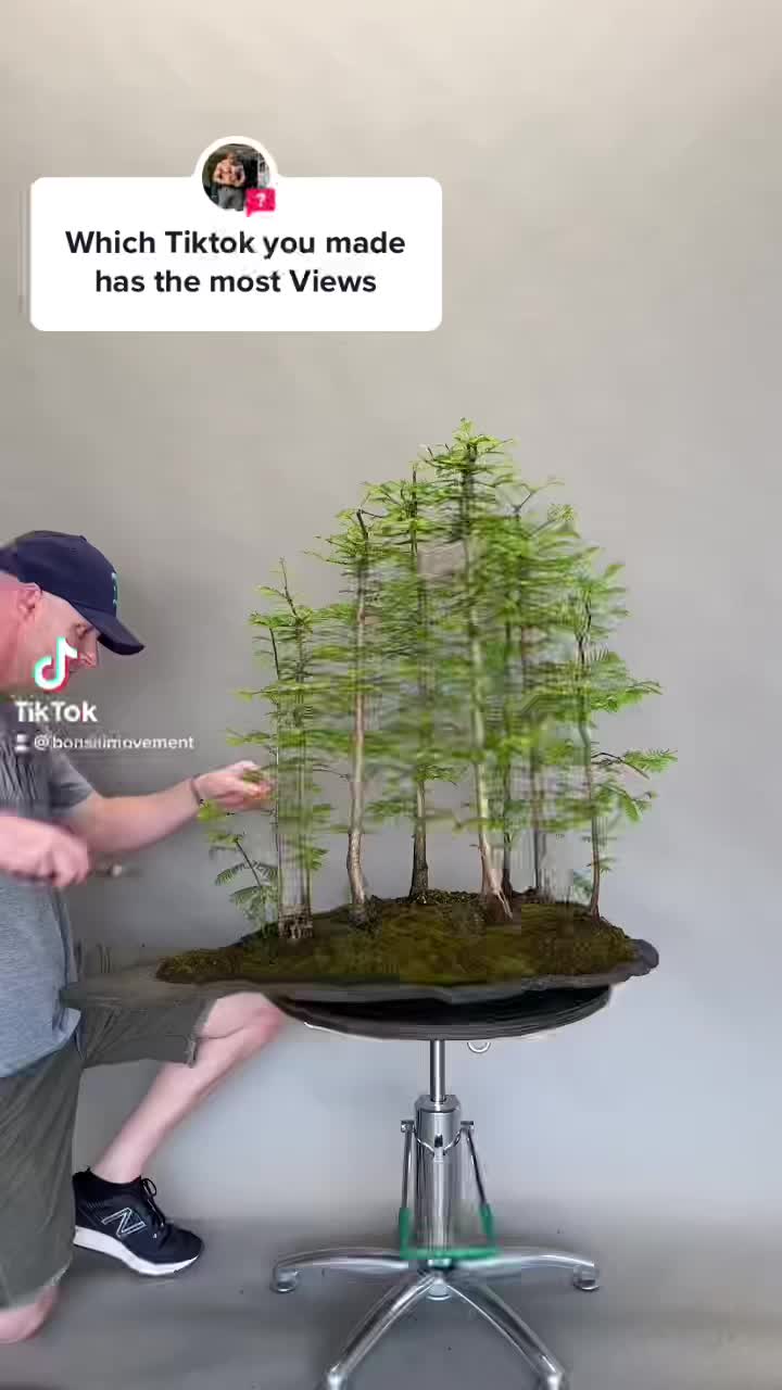 @Bonsai Movement