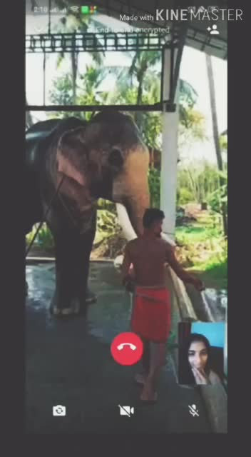 @രാമഭക്ത❤️🐘