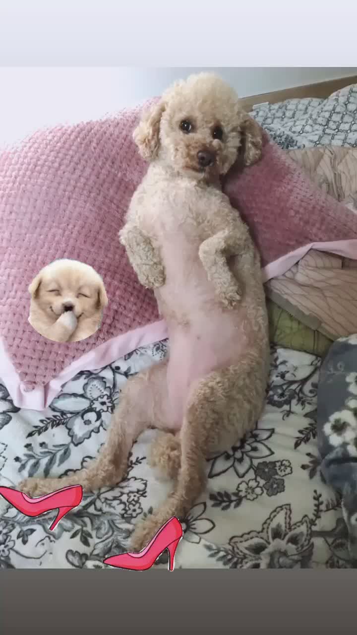 @강창현