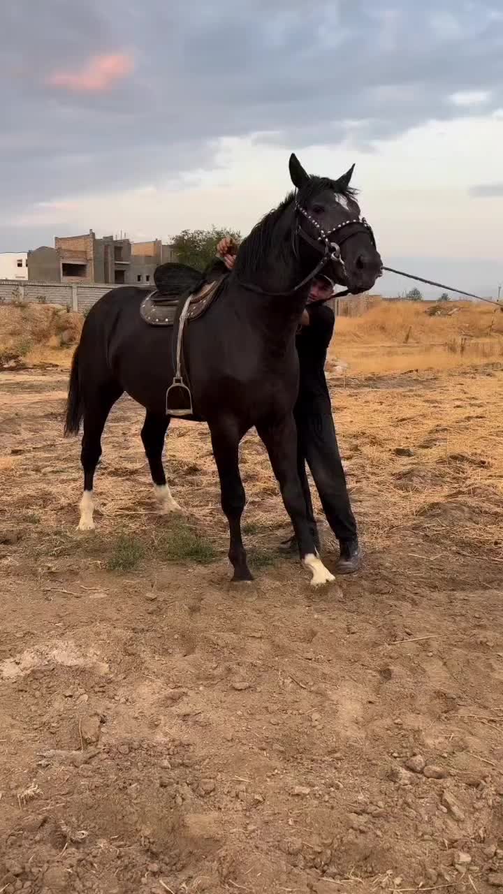 @Muxa707🇰🇿🇹🇷