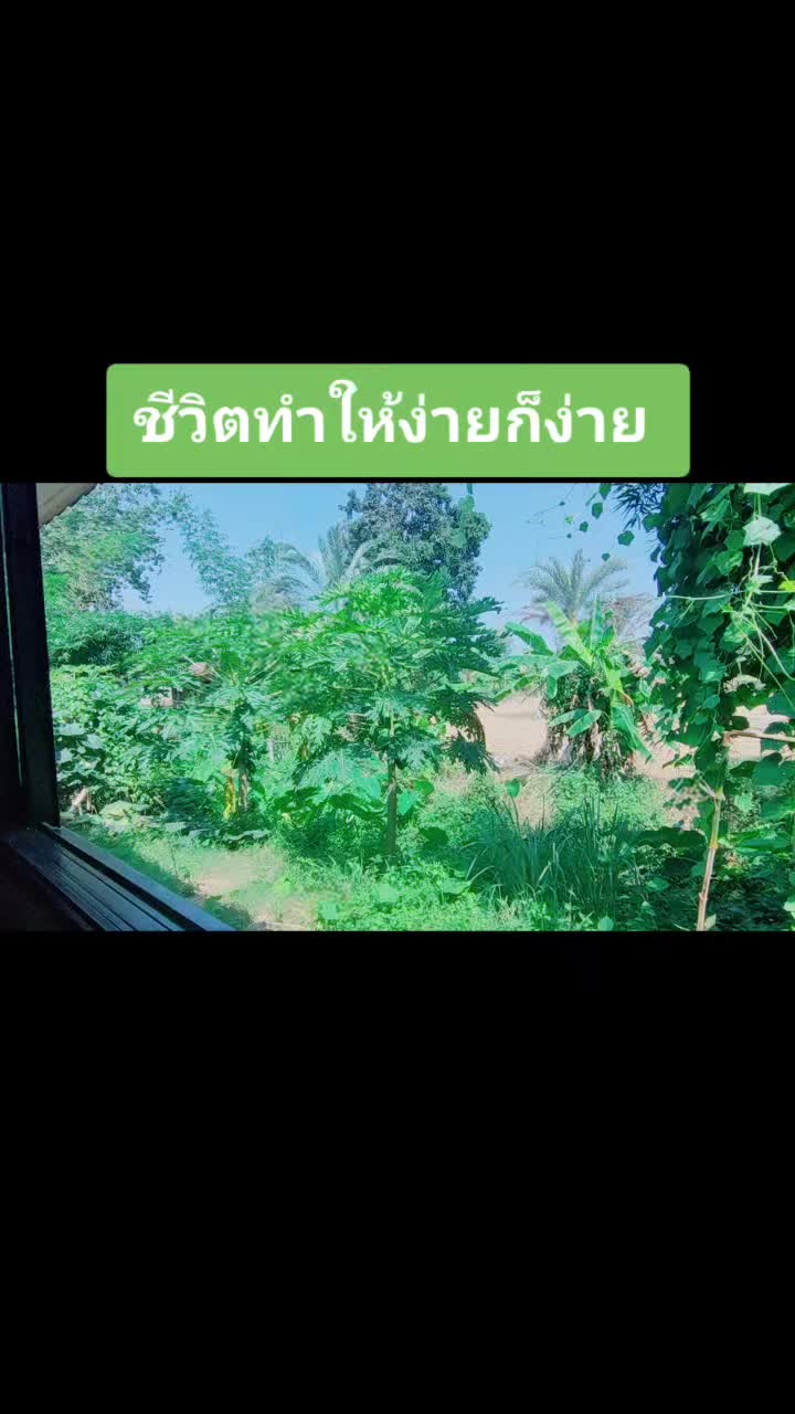 @Aom
