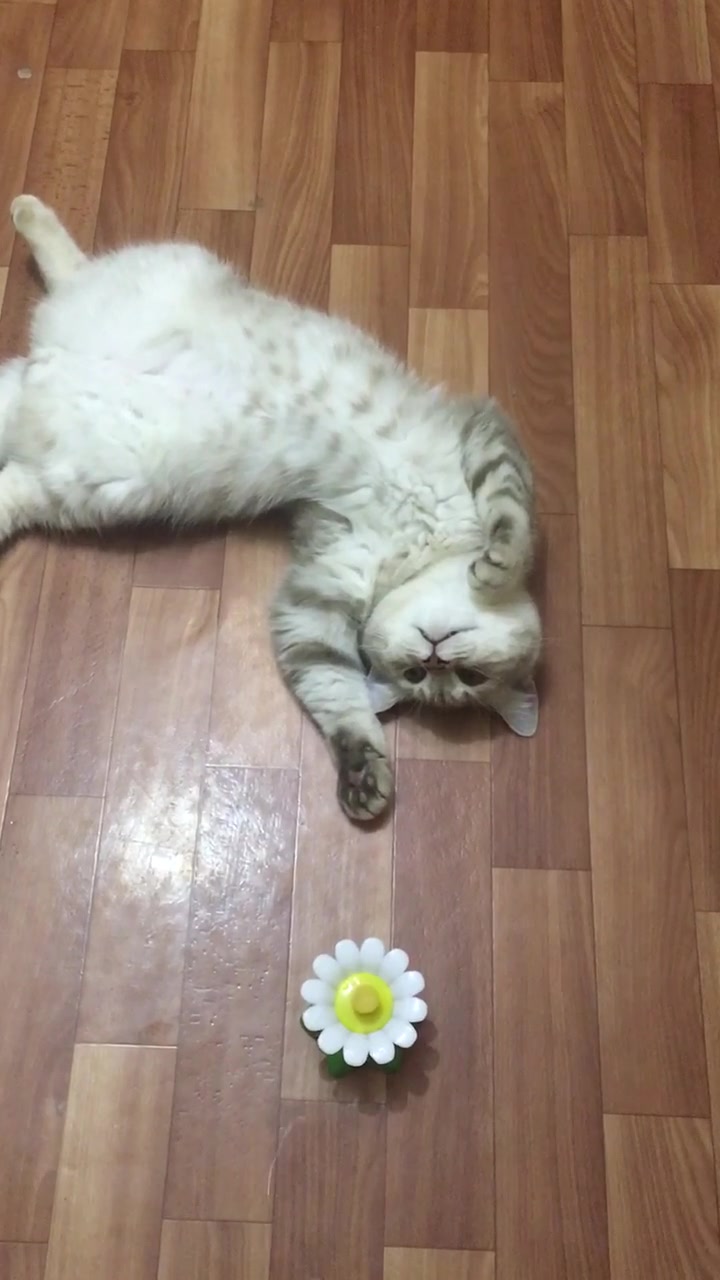 @LIUTIK