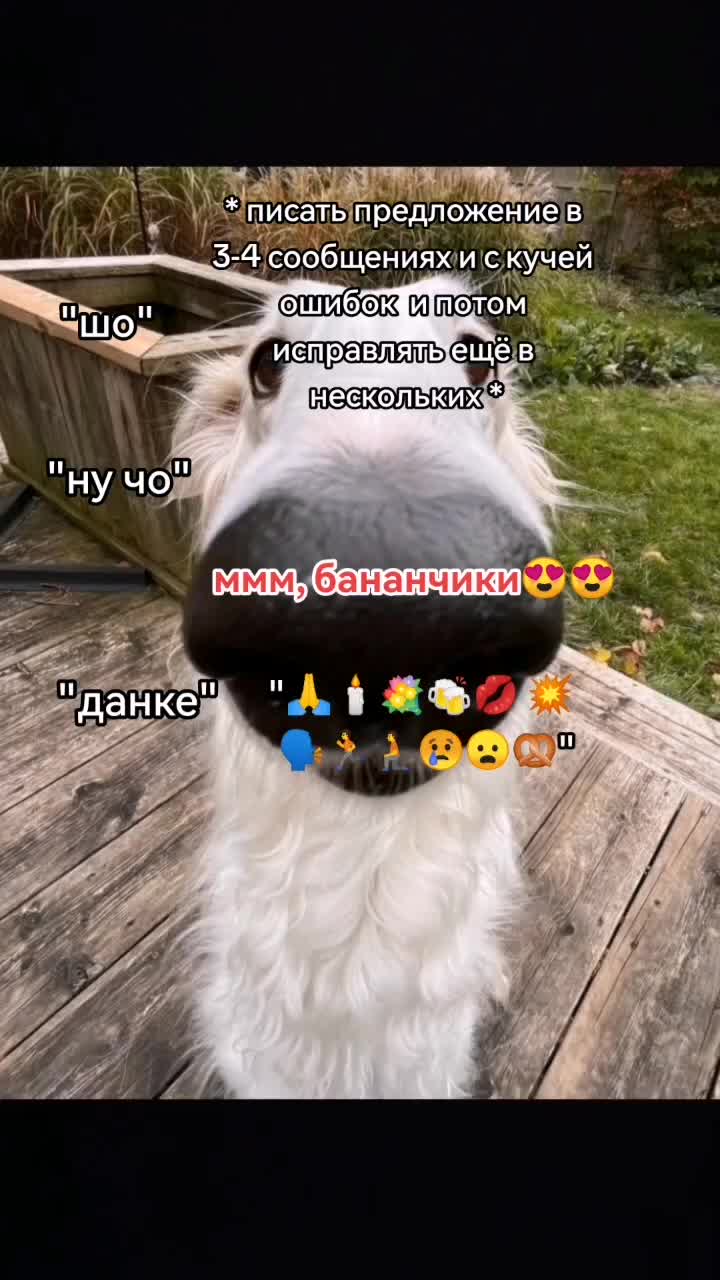 @германофил🐛