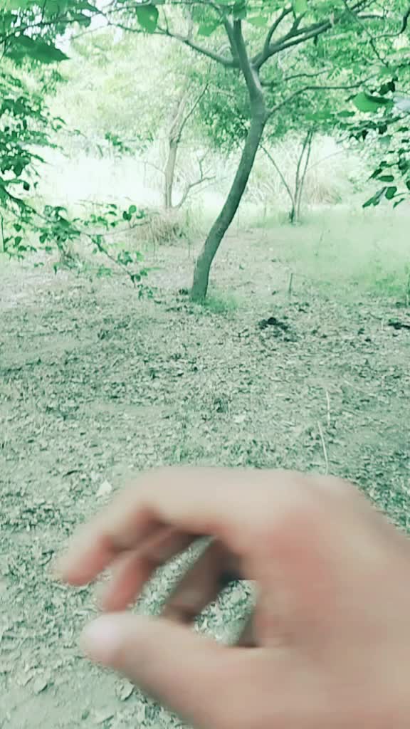 @Manish yadav