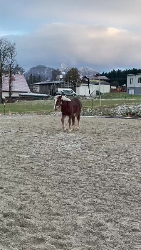 @Die_mit_die_2_Norikers💕