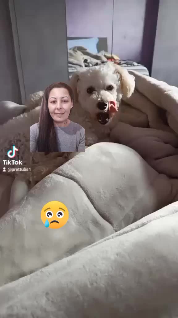 @🔐 Frumoasa și🦈 bestia 😈