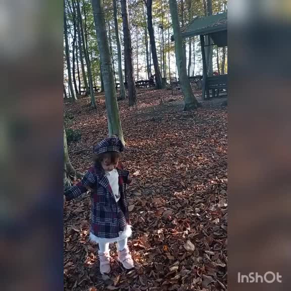 @kumsal792843