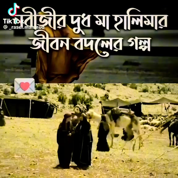 @mdshahin23422@gmail.com