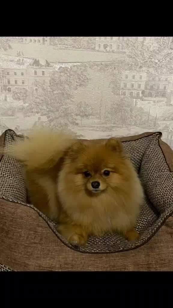 @чмо😦