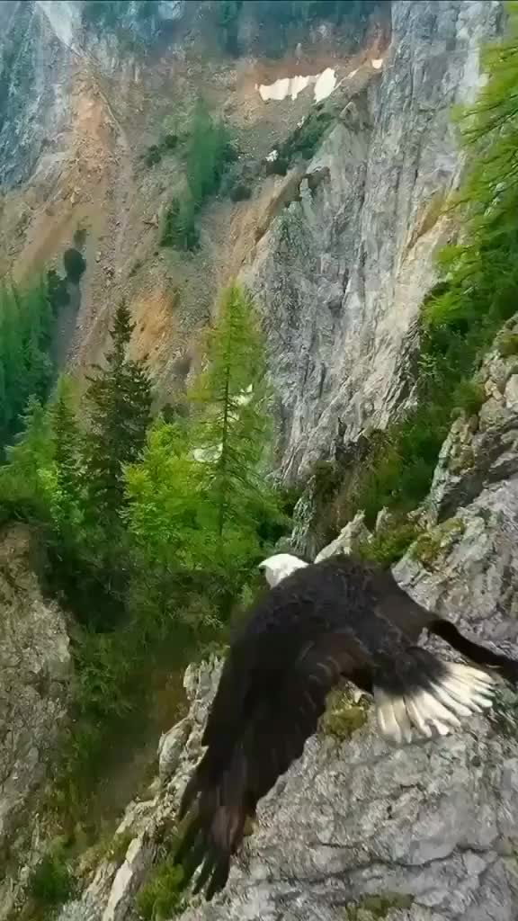 @ninareg55