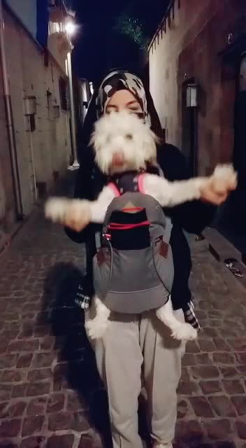 @Duygu Taşdemir
