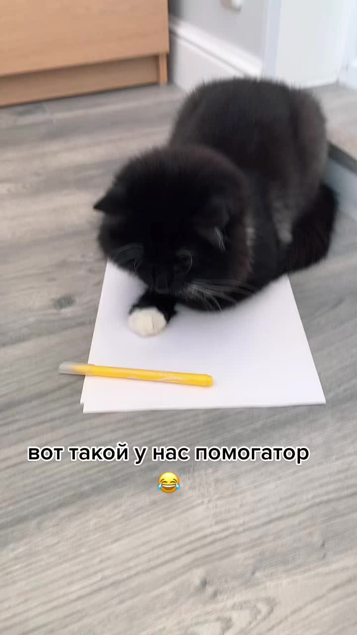 @КОТ МУЖИК 🐾