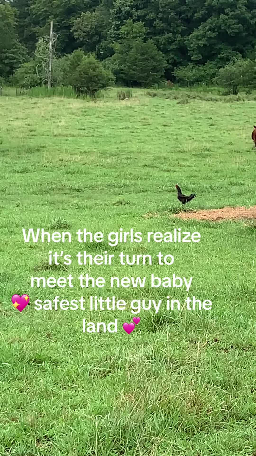@Georgia Farm Girl