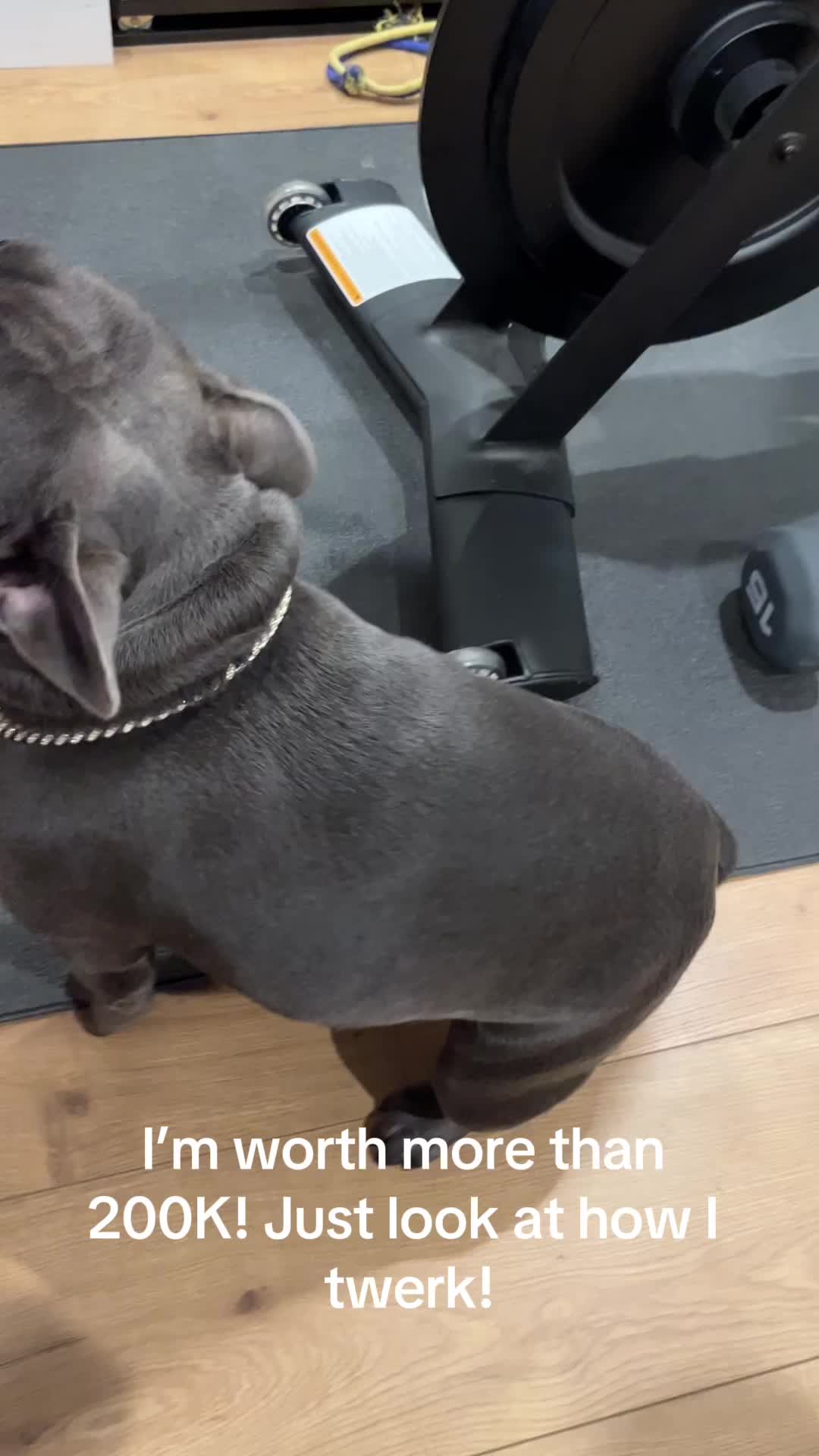 @Shaq Diesel