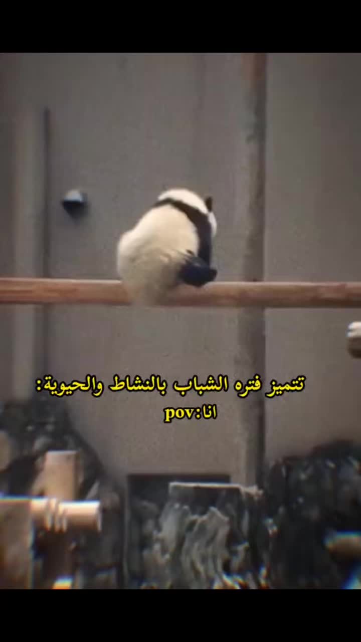 @@BOOMNAJIM