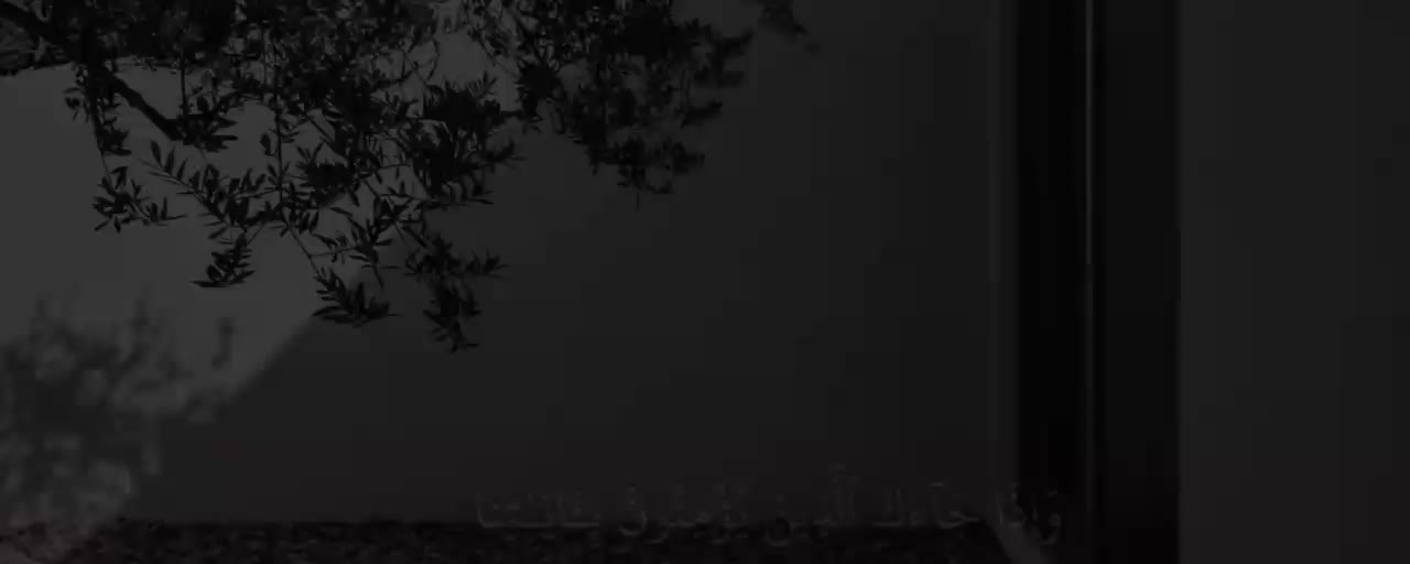 @vii6j