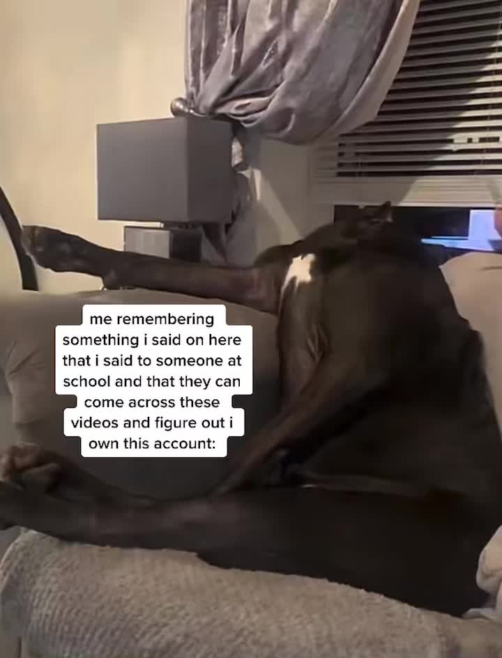 @🙀