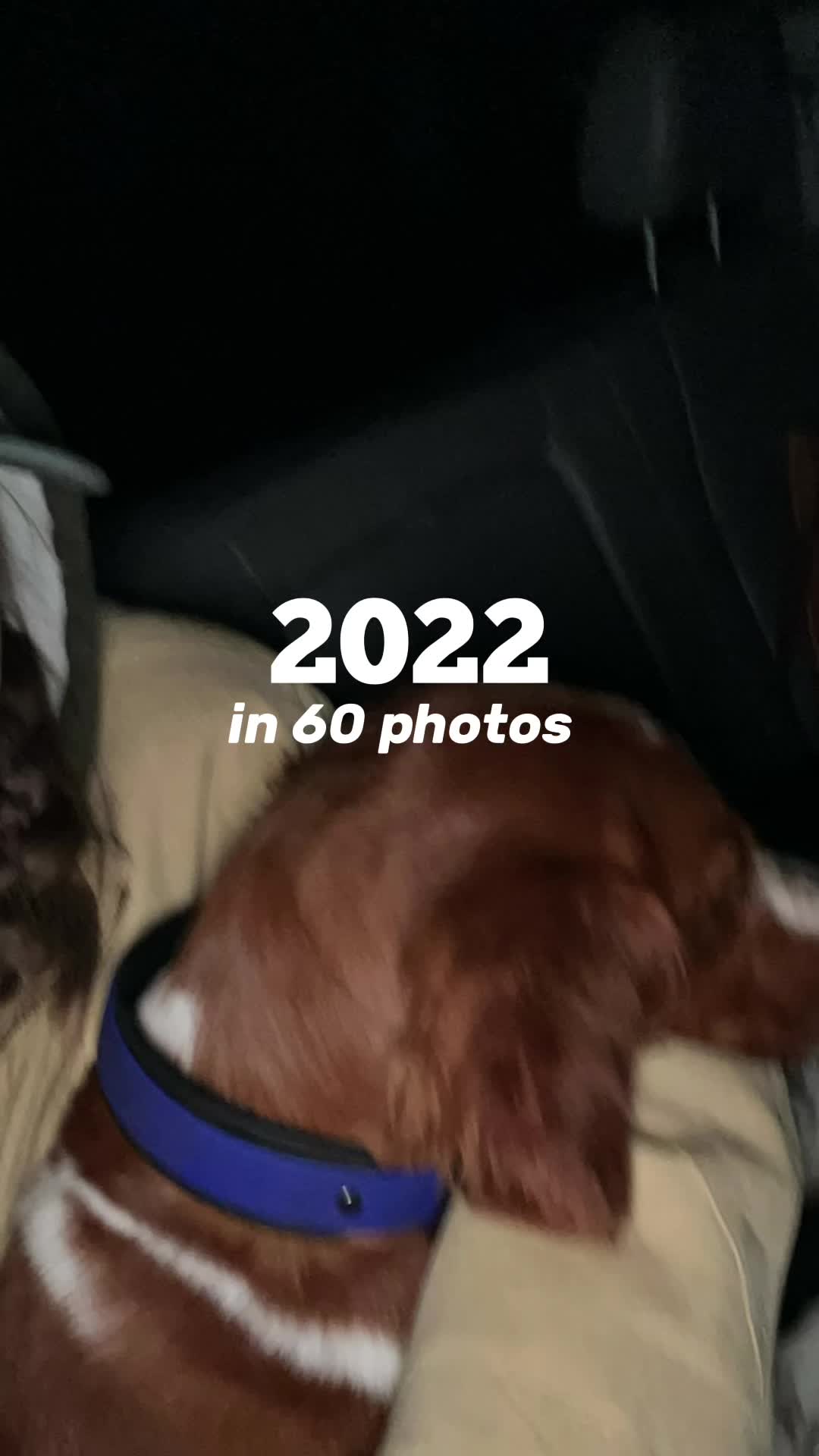 @Sophia