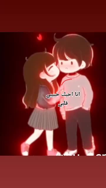 @zoyashaikh