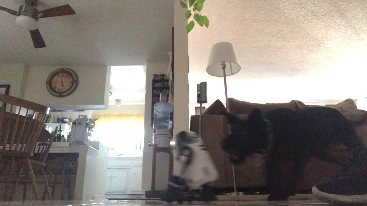 @discodogs13