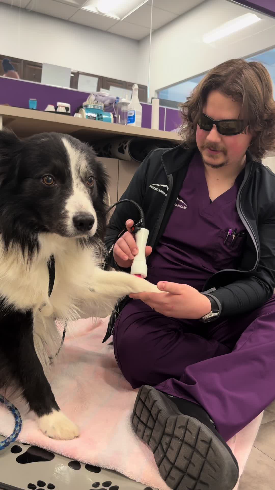 @Summit Veterinary Care