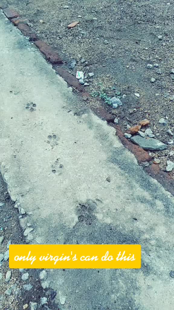 @Bollaram