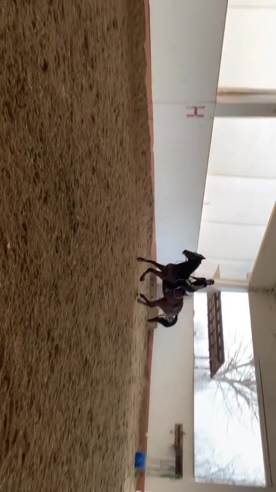 @Aidlariviera