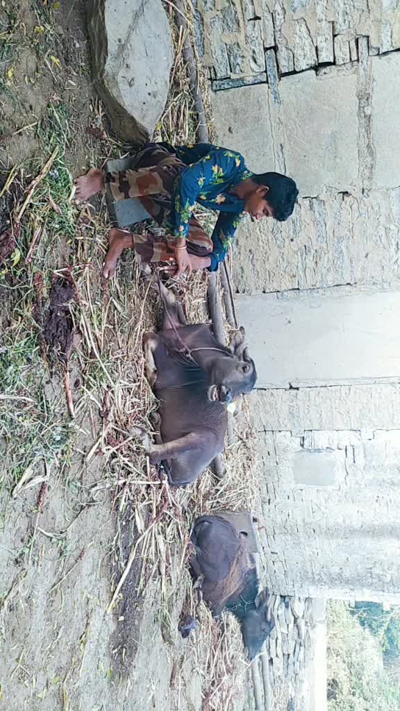 @Gundrathi Rammohan