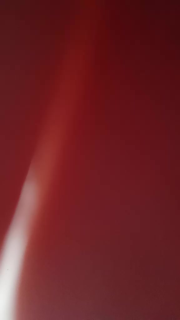 @inbal2007
