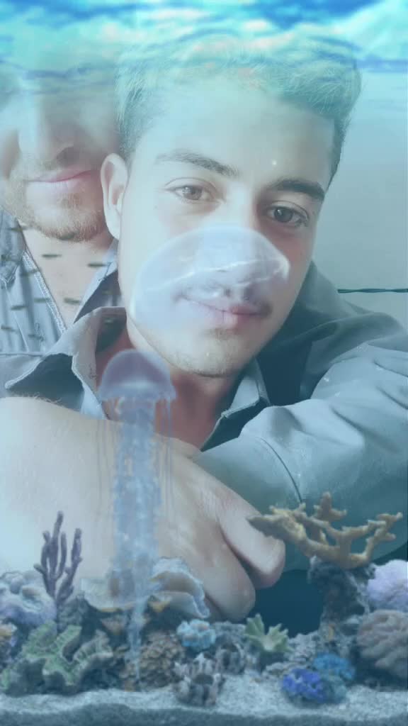 @Bhat Tahir